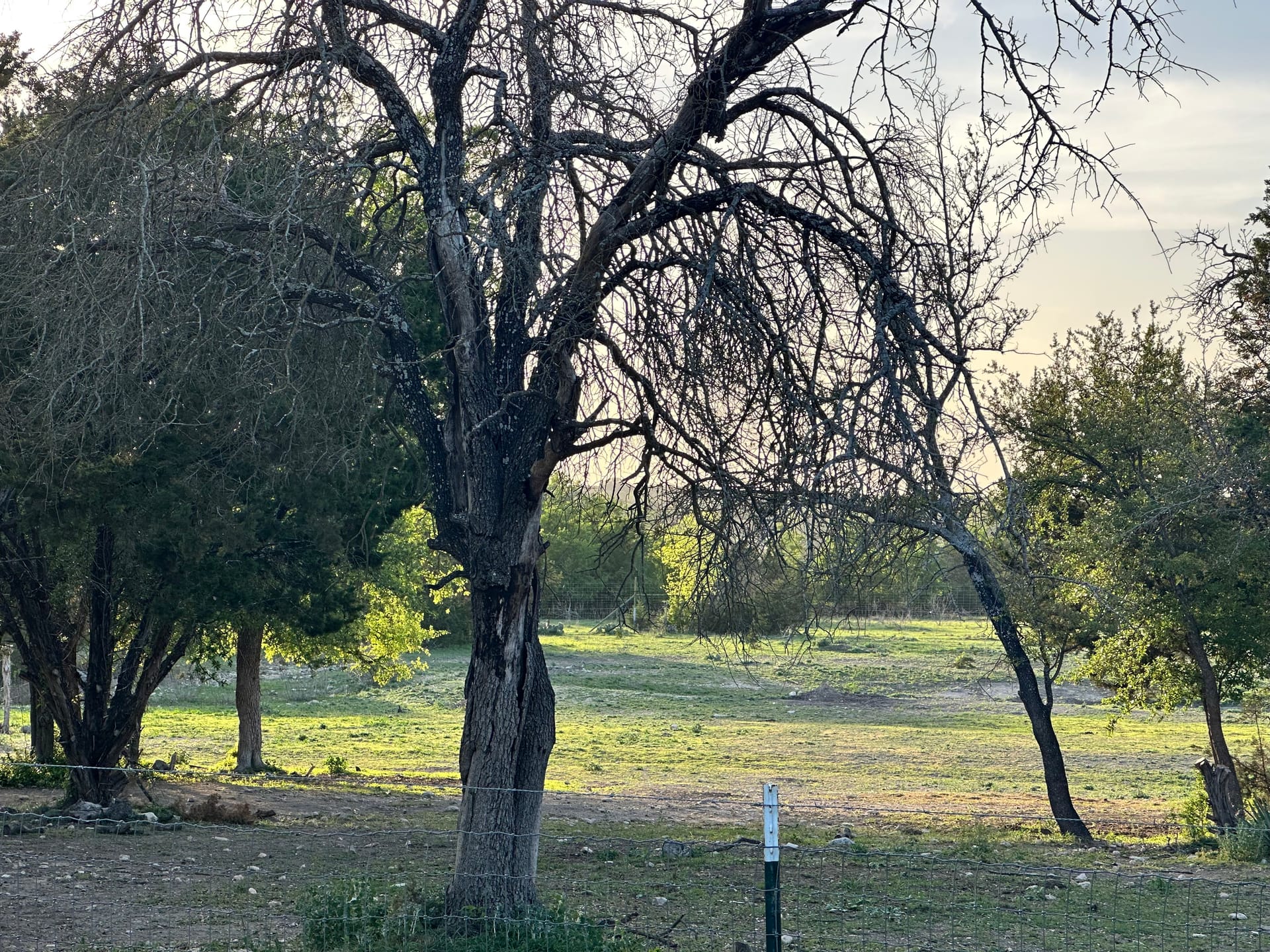 Trail riding access at JB Boarding in Central Texas