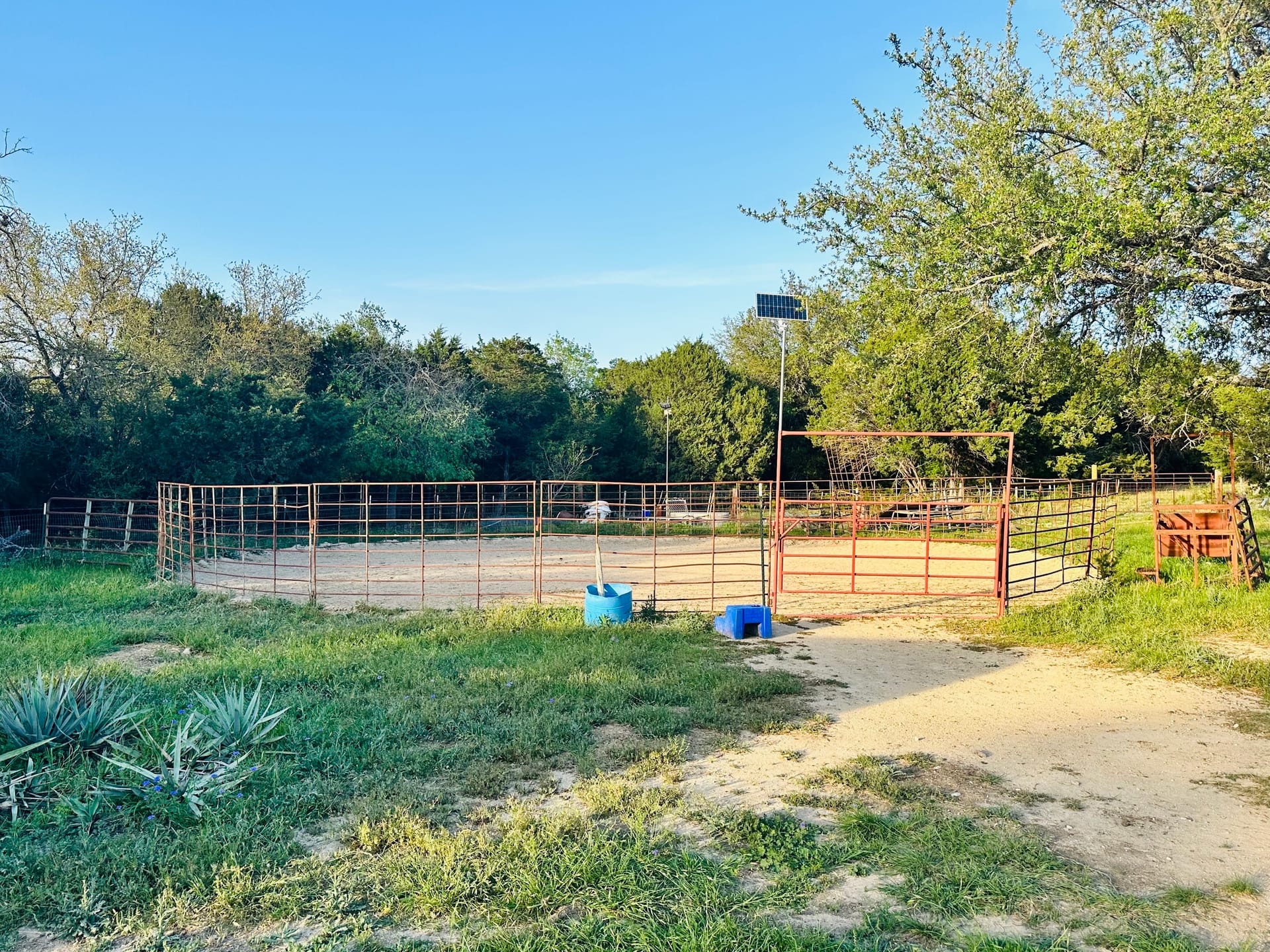Professional round pen for horse training in Kempner TX